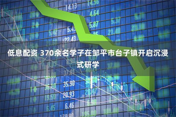 低息配资 370余名学子在邹平市台子镇开启沉浸式研学