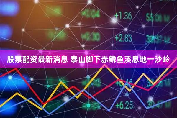 股票配资最新消息 泰山脚下赤鳞鱼溪息地一沙岭